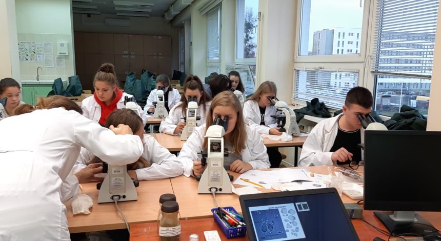 Zajęcia na UMK
