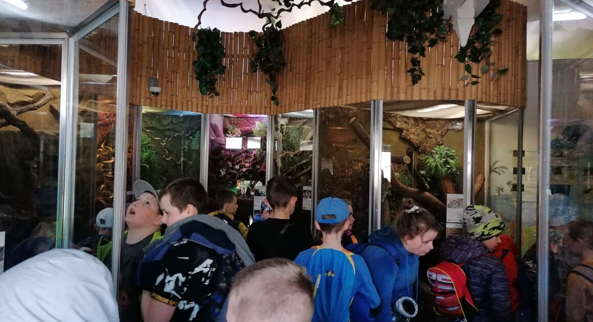 Zajęcia przyrodnicze w Ogrodzie Zoobotanicznym – „Era małego inżyniera”